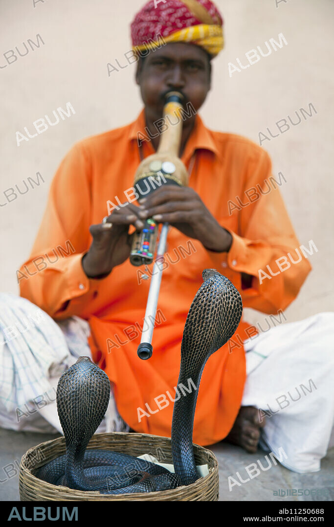 Cobra snake charmer outside the City Palace, Jaipur, Rajasthan, India, Asia.