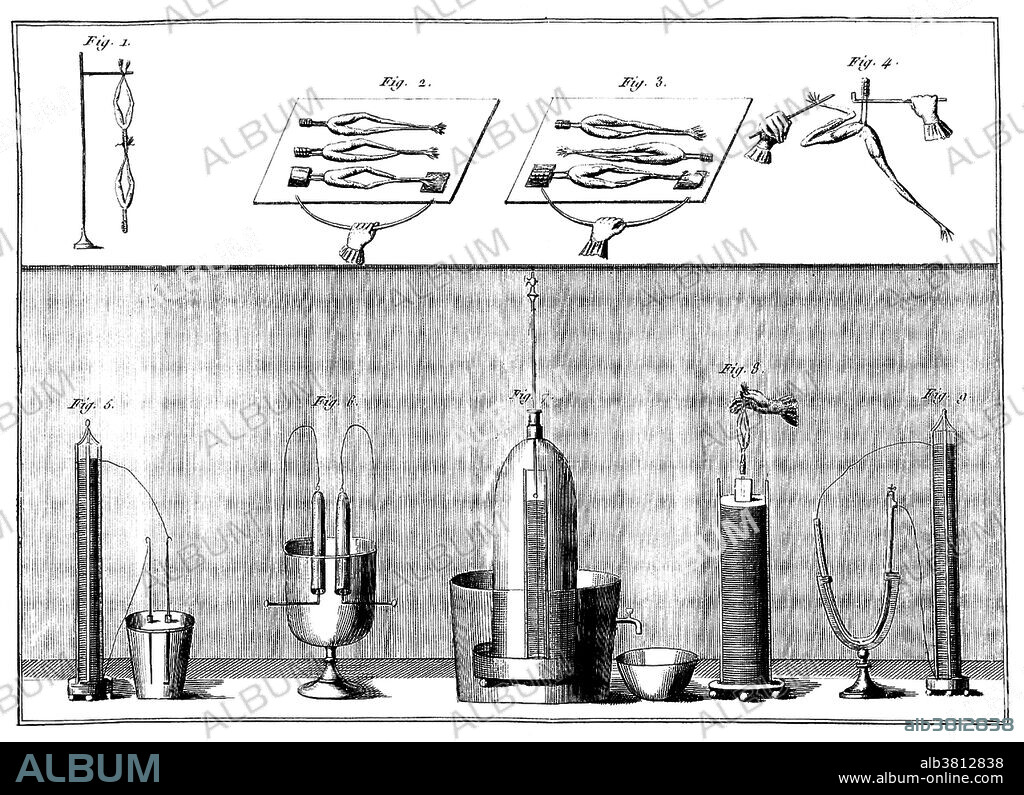 Galvanism experiments. Galvanism is the contraction of a muscle that is stimulated by an electric current. The effect was named after Luigi Galvani (September 9, 1737 - December 4, 1798), who investigated the effect of electricity on dissected animals in the 1780-90s. Giovanni Aldini (April 10, 1762 - January 17, 1834) was an Italian physicist and nephew of Galvani. His most famous public demonstration of the electro-stimulation technique of deceased limbs was performed on the executed criminal George Forster in London, 1803. The Newgate Calendar describes what happened: "On the first application of the process to the face, the jaws of the deceased criminal began to quiver, and the adjoining muscles were horribly contorted, and one eye was actually opened." Image appeared in "Essai theoretique experimental sur le Galvanisme" by Giovanni Aldini, 1804.