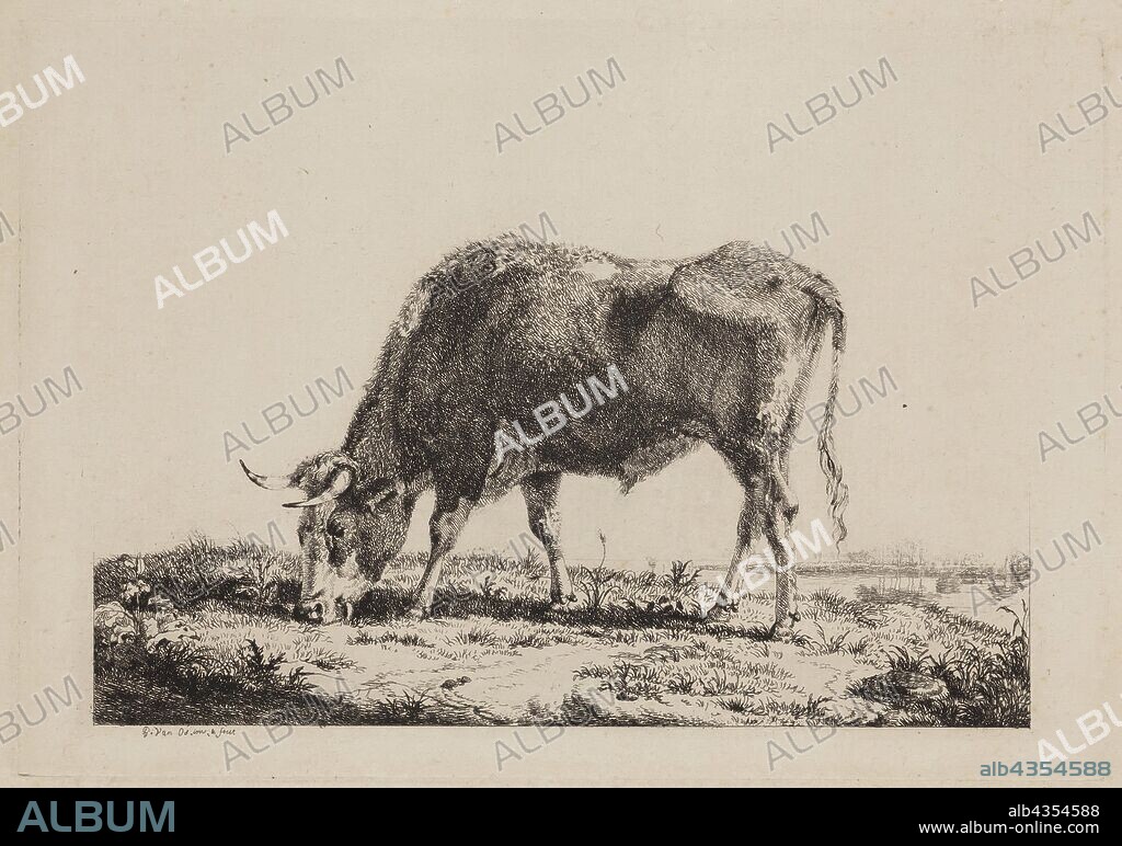 Pieter Gerard van Os, Dutch, 1776-1839, Landscape with Ox Feeding, between late 18th and mid-19th century, etching printed in black ink on laid paper, Plate: 6 5/8 × 9 1/2 inches (16.8 × 24.1 cm).