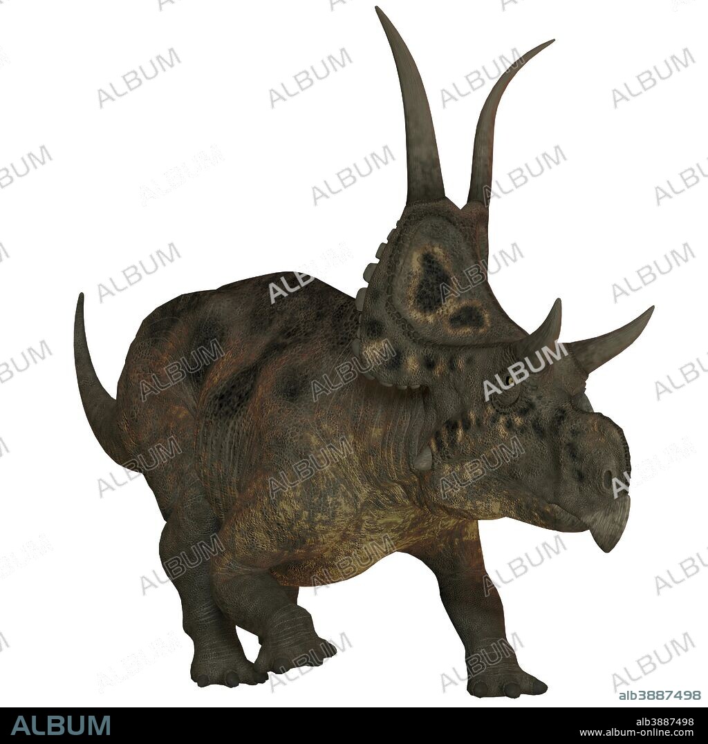 Diabloceratops, a herbivorous dinosaur from that lived during the Cretaceous Period in what is now Utah, USA.