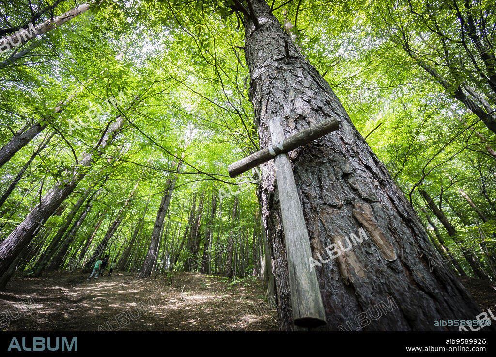 cruz votiva en el bosque, subida a la iglesia de madera, Ulucz, valle del rio San, voivodato de la Pequeña Polonia, Cárpatos, Polonia, europe.