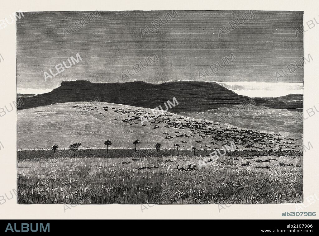 THE WAR IN THE SOUDAN (SUDAN): THE BATTLEFIELD OF ABU KLEA AFTER THE BRITISH VICTORY, JANUARY 17, 1885.