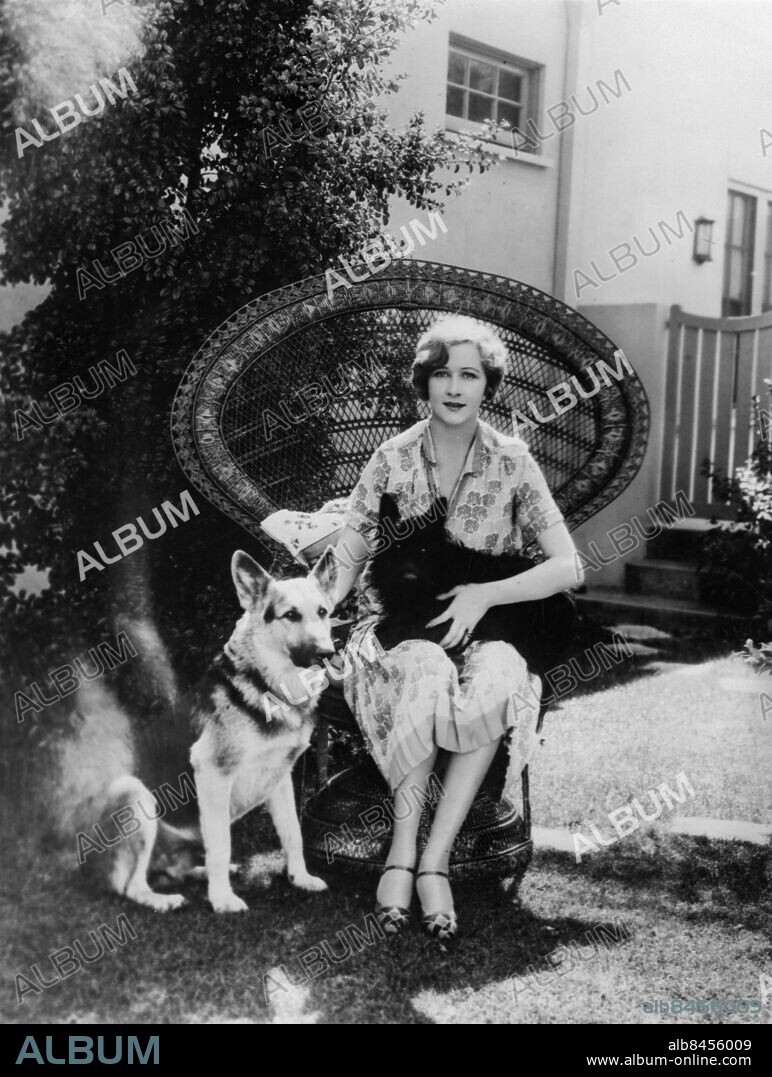 USA 1920-tal.. Orig. bildtext... ONE OF AMERICA'S MOST POPULAR SCREEN STARS. Anna Q. Nilsson, First National Player, is shown with her two pet dogs in the patio of her Beverly Hills, California, home. Rentz is a champion German Shepard, while the small bundle of black is Hobo, an Aberdeen Terrier. Anm. A Q Nilsson, 1888-1974, svensk-amerikansk skådespelare, en av de första stora stjärnorna inom stumfilmen. Korgstolar Schäfer Terrier Vänner Trio CD694 persons: ANNA QUIRENTIA NILSSON sites: USA;SVERIGE*.