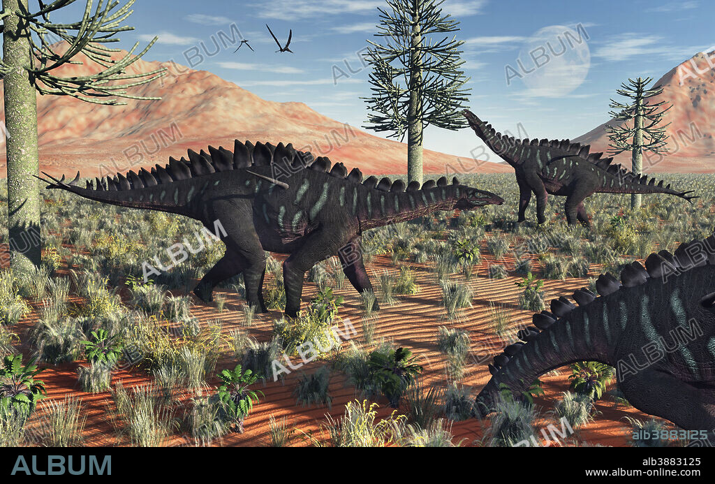 A small group of stegosaurid Miragaia dinosaurs during the Jurassic Period, in what is modern day Portugal.