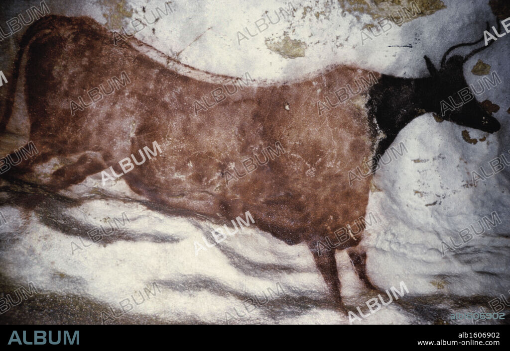 Bull  Prehistoric Art  Lascaux Caves, France.