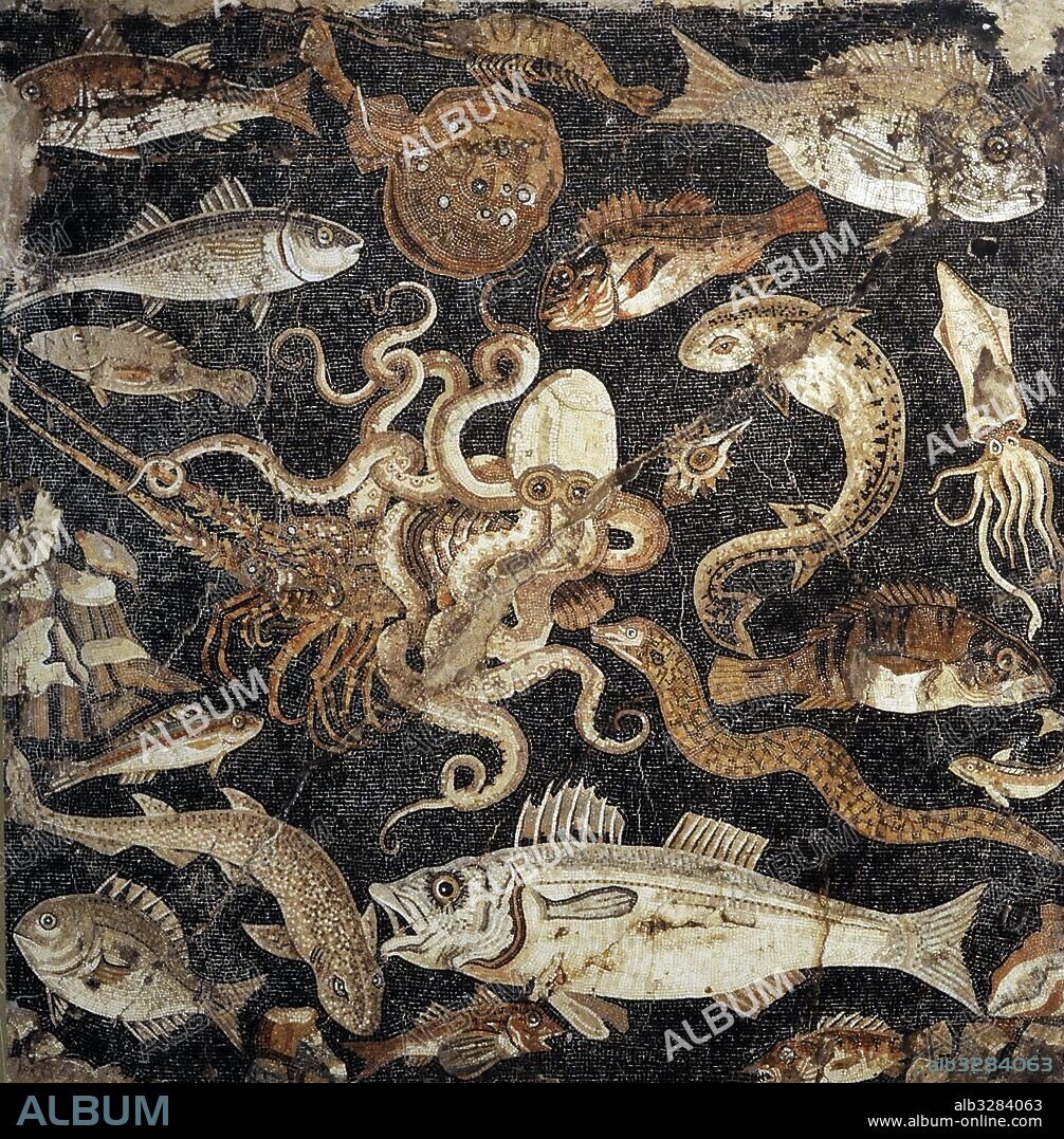 Mosaico romano. Fauna marina. Procedente de la villa señorial de Lucius Aelius Magnus. Siglo I a. C. Pompeya, Italia. Museo Arqueológico Nacional. Nápoles. Italia.