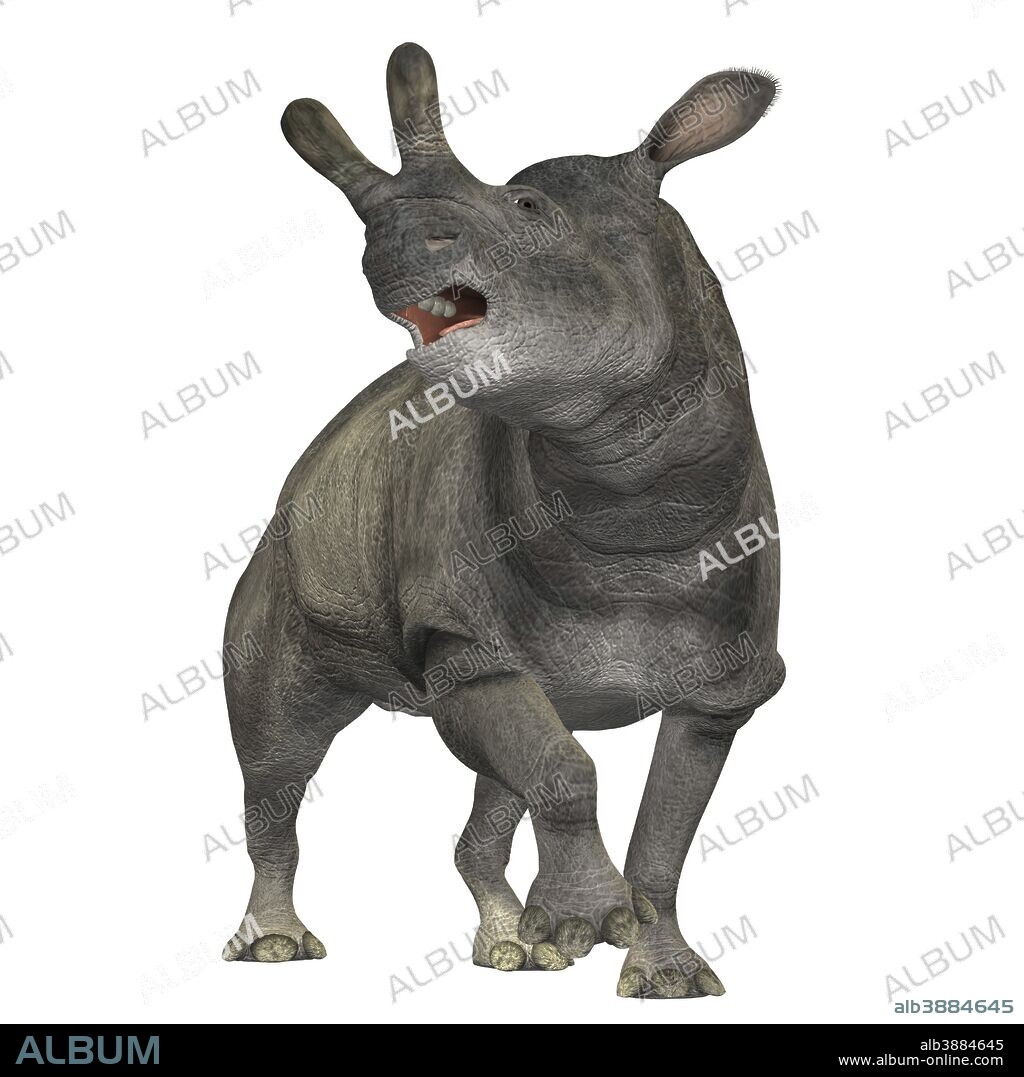 The Brontotherium was a rhinocerous-like mammal which was a herbivore and is now extinct. It roamed North America in the Early Oligocene and is related to the horse.