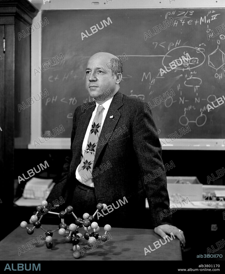 Calvin, October 26, 1961. Melvin Ellis Calvin (April 8, 1911 - January 8, 1997) was an American chemist. He joined the faculty at the University of California, Berkeley in 1937 and was promoted to Professor of Chemistry in 1947. Using the carbon-14 isotope as a tracer, Calvin, Andrew Benson and James Bassham mapped the complete route that carbon travels through a plant during photosynthesis, starting from its absorption as atmospheric carbon dioxide to its conversion into carbohydrates and other organic compounds. In doing so, they showed that sunlight acts on the chlorophyll in a plant to fuel the manufacturing of organic compounds, rather than on carbon dioxide as was previously believed. Calvin was the sole recipient of the 1961 Nobel Prize for Chemistry for what is sometimes known as the Calvin-Benson-Bassham Cycle. He was also the founder and Director of the Laboratory of Chemical Biodynamics and simultaneously Associate Director of Berkeley Radiation Laboratory, where he conducted much of his research until his retirement in 1980. He died in 1997 at the age of 85.