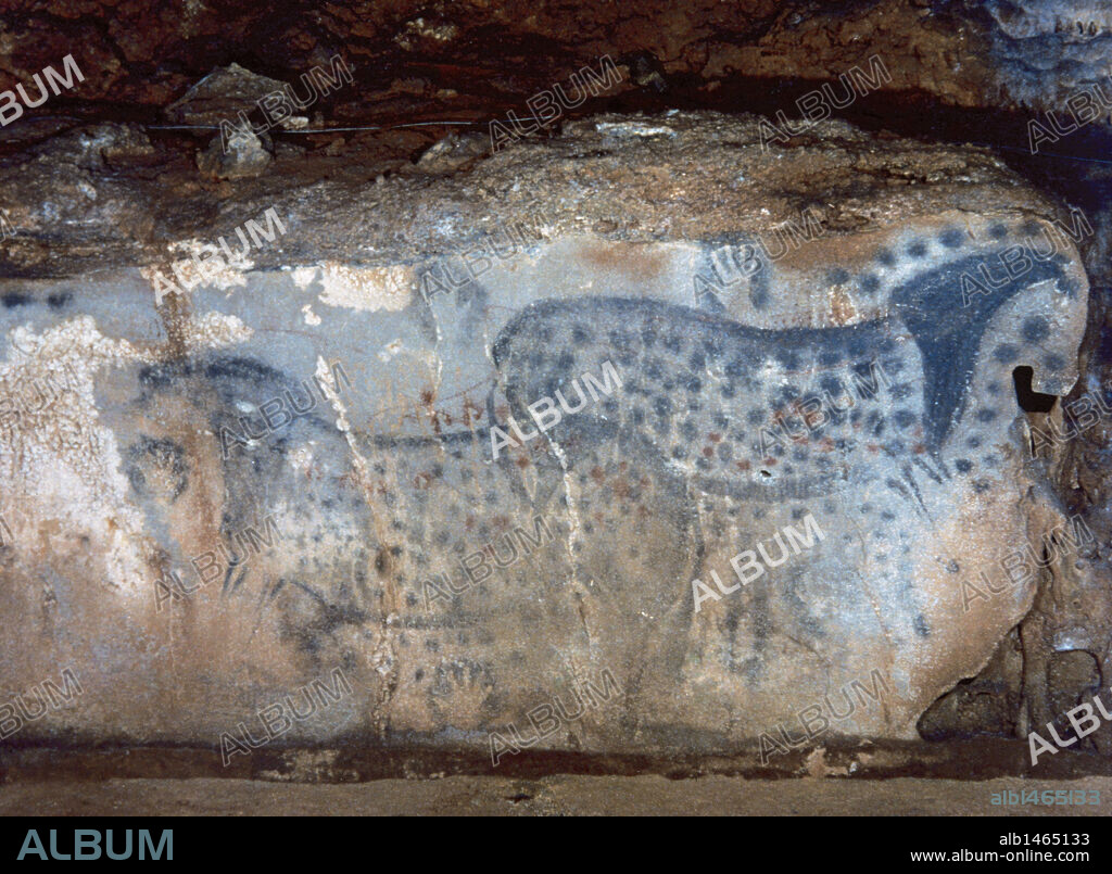 ARTE PREHISTORICO. PALEOLITICO. FRANCIA. "CABALLOS CON PUNTEADO EN NEGRO Y ROJO Y MANOS EN NEGATIVO". Pinturas rupestres fechadas en el MAGDALENIENSE SUPERIOR (PALEOLITICO SUPERIOR 35.00010.000 a.C). CUEVA DE PECH-MERLE. Cabrerets.