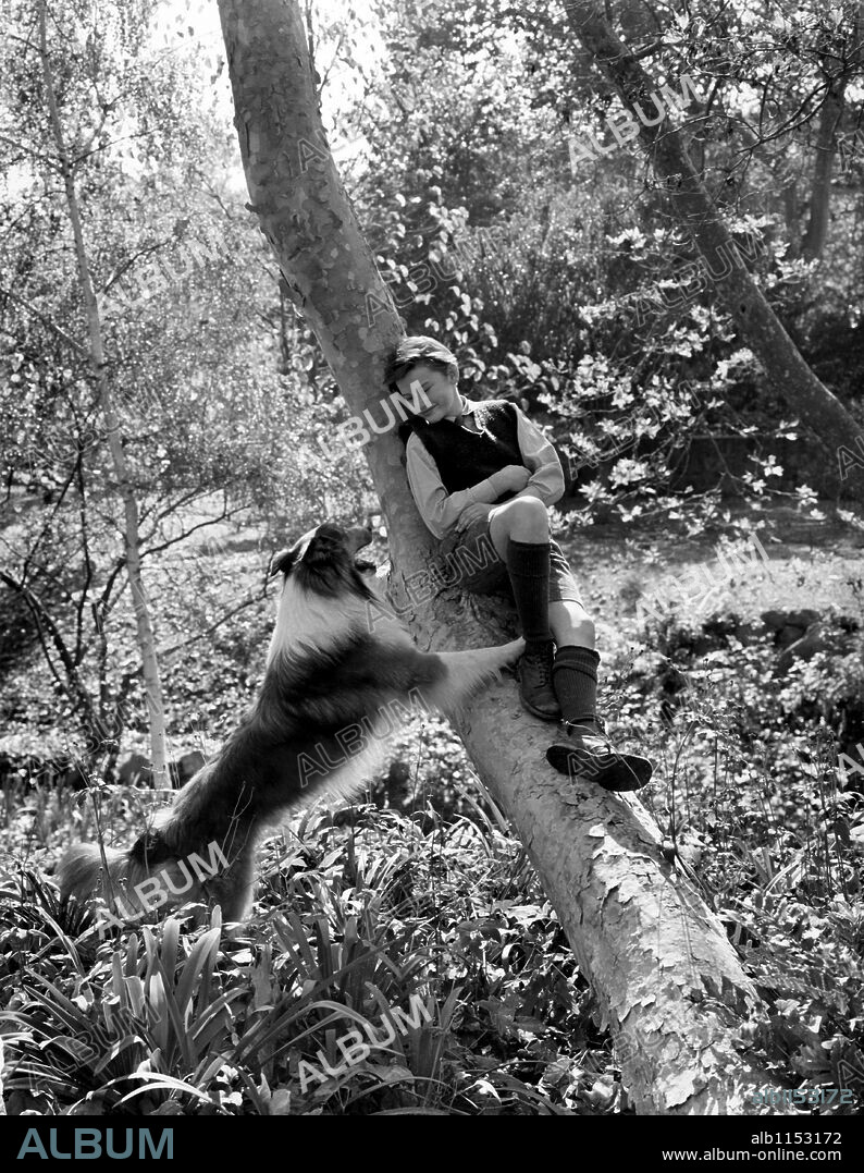 RODDY McDOWALL in LASSIE COME HOME, 1943, directed by FRED M. WILCOX. Copyright M.G.M.