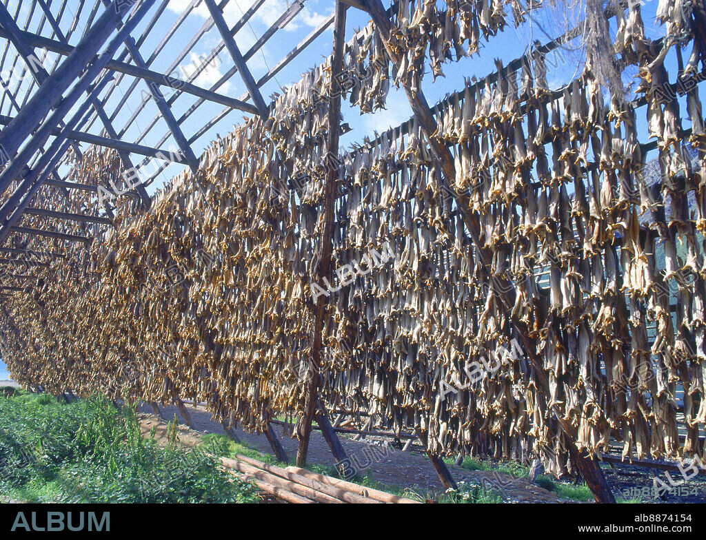 SECADERO DE BACALAO - FOTO AÑOS 00.