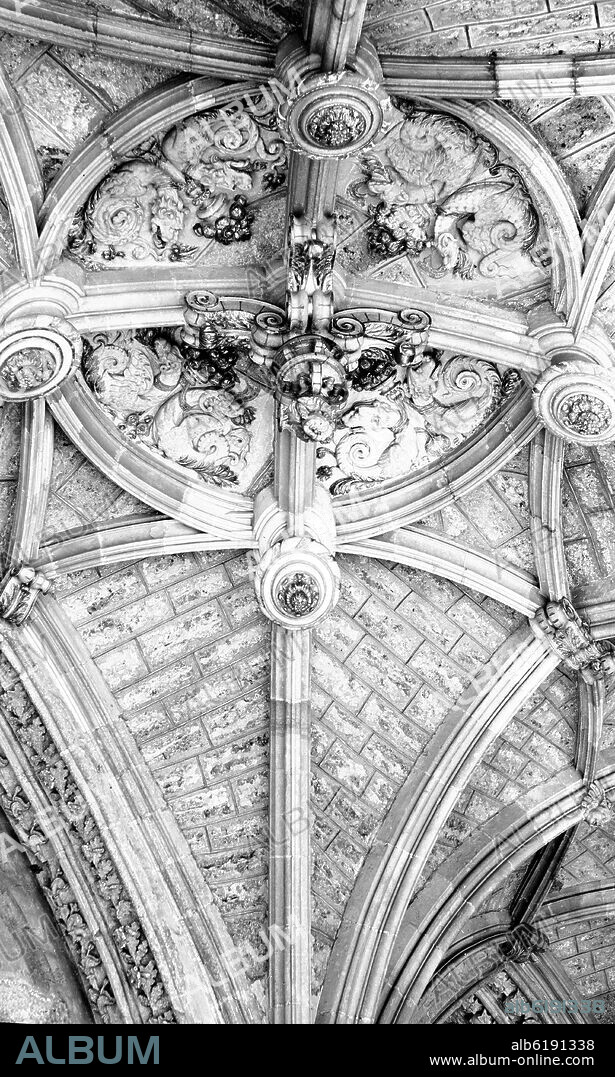DETALLE DE LAS BOVEDAS DEL CLAUSTRO DE LA CATEDRAL DE LEON - ESTILO PLATERESCO - FOTOGRAFIA EN BLANCO Y NEGRO - AÑOS 60.