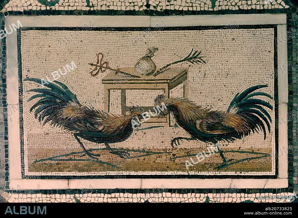 MOSAICO ROMANO DE LA PELEA DE GALLOS - PROCEDENTE DE LA CASA DE PAQUIO PROCULO.