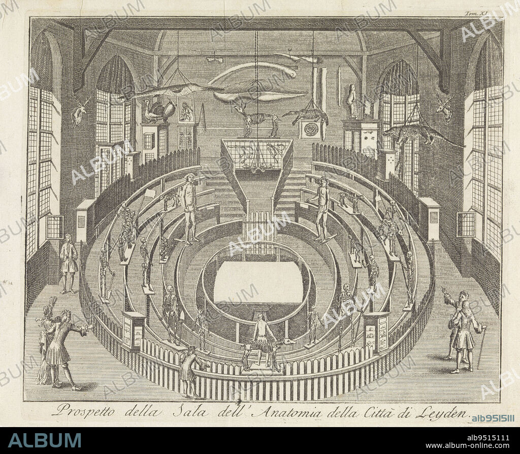 Anatomical theater of the University of Leiden. Numbered top right: Tom XI. The Leiden Anatomical Theatre Prospetto della sala dell' Anatomia della Citta di Leyden , print maker: Giuseppe Filosi, publisher: Giambattista Albrizzi, print maker: Italy, publisher: Venice, 1742, paper, etching, h 171 mm × w 205 mm.