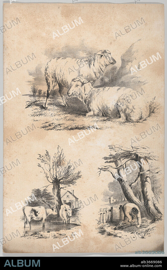 Vignette with two sheep, Vignette with two cows in a pool, and Vignette of a wood-gatherer, in: The New York Drawing Book, Containing a Series of Original Designs and Sketches of American Scenery, No. 2. Artist: Frances Flora Bond Palmer (American (born England), Leicester 1812-1876 New York). Dimensions: Sheet: 12 3/4 × 8 3/16 in. (32.4 × 20.8 cm). Printer: Francis & Seymour Palmer (New York, NY). Publisher: W. H. Graham (New York, NY). Date: 1847.