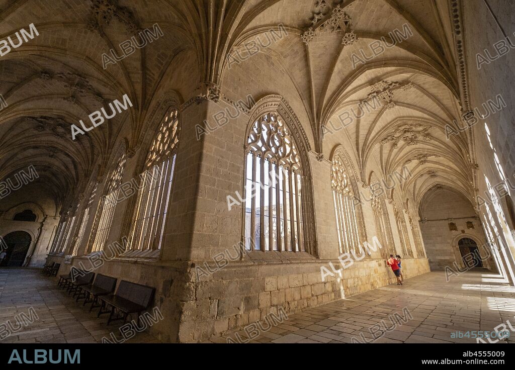 claustro, Catedral de Santa María de la Asunción, El Burgo de Osma, Soria, comunidad autónoma de Castilla y León, Spain, Europe.