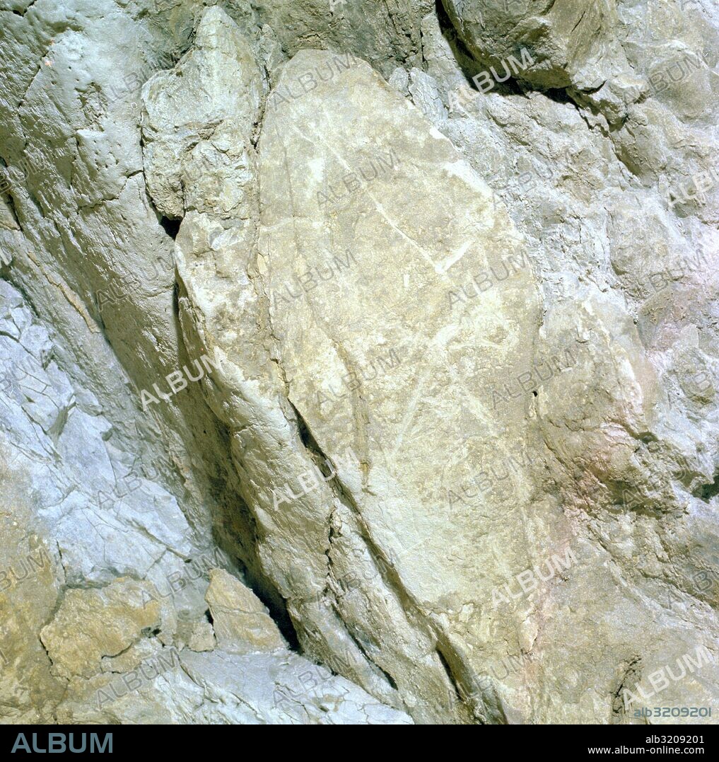 CUEVA DE ALTXERRI. GRUPO IA: DOS PECES GRABADOS  . AYA, GIPUZCOA, PAIS VASCO, ESPAÑA.