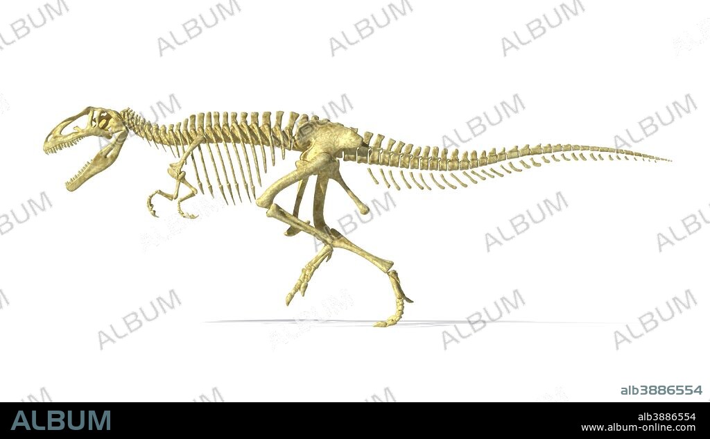 3D rendering of a Giganotosaurus dinosaur skeleton, side view.
