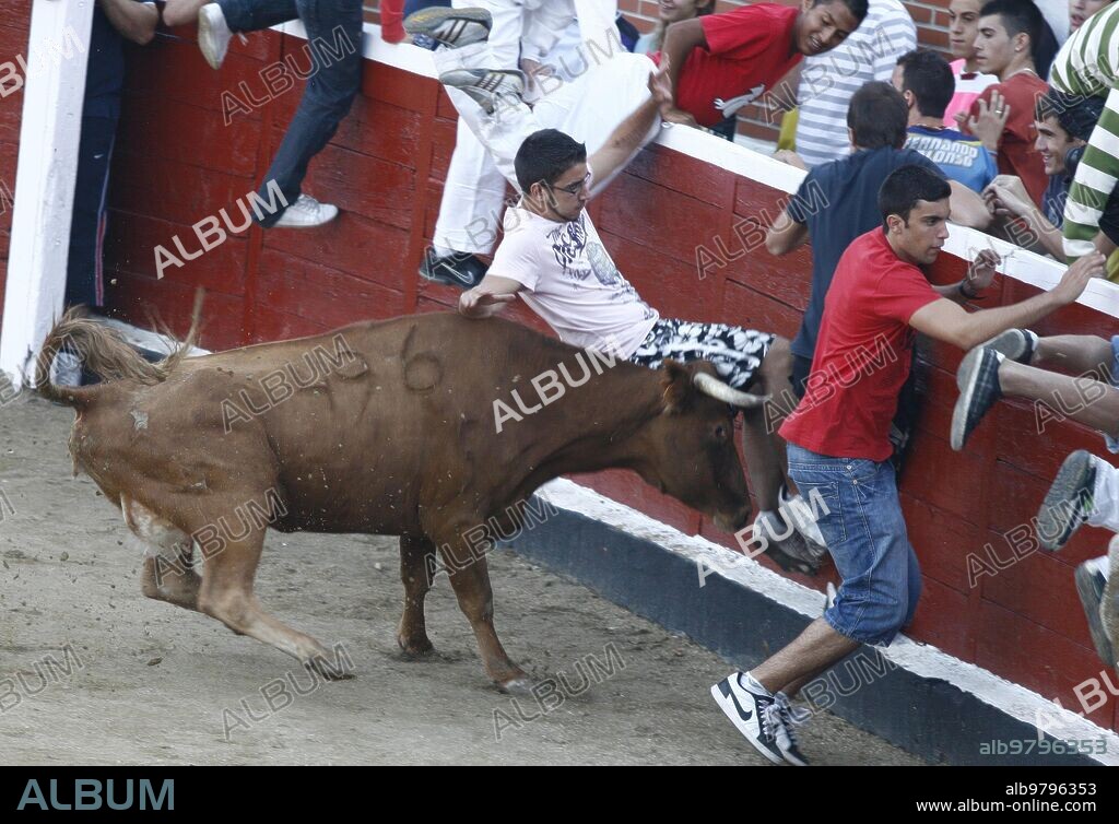 Madrid, 08/31/2010. Sixth and last running of the bulls of the patron saint festivities of San Sebastián de los Reyes. In the image, a bull goring a young man in the bullring.