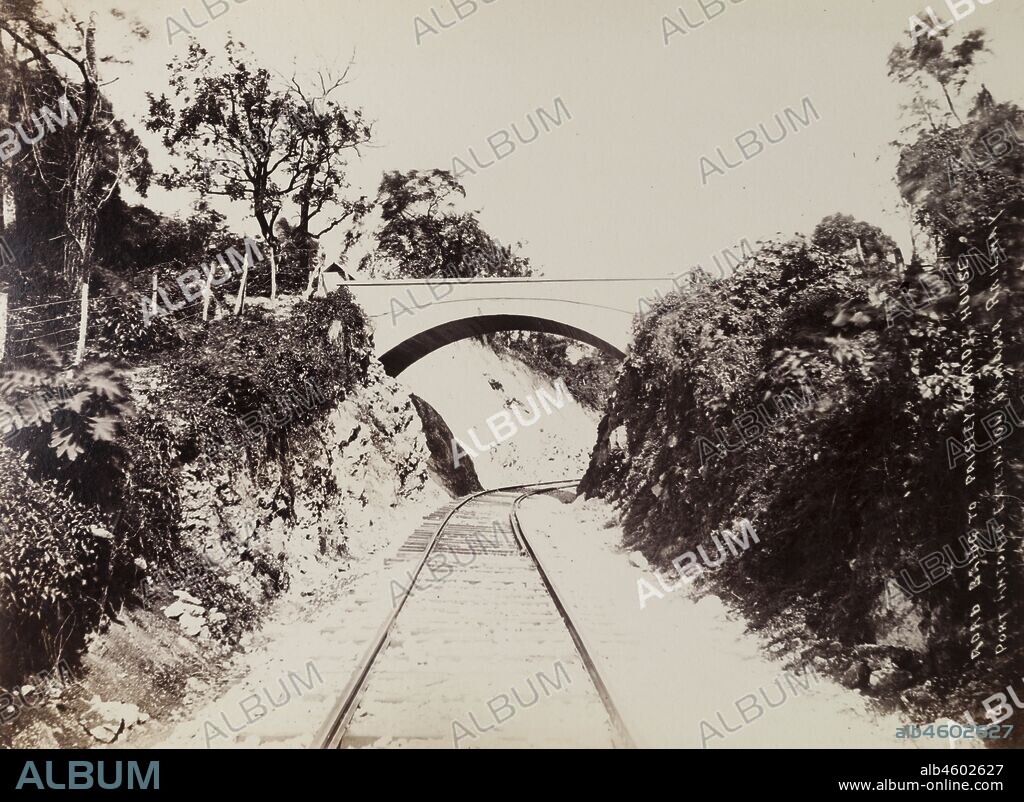Jamaica, An arched road bridge crosses a stretch of railway track on the Port Antonio extension line at Portland.Caption in the negative reads: 12. Road Bridge to Paisley Garoy House Port Antonio Extension Jamaica Railway, 1894-1895. 1999/221/1/62/28.