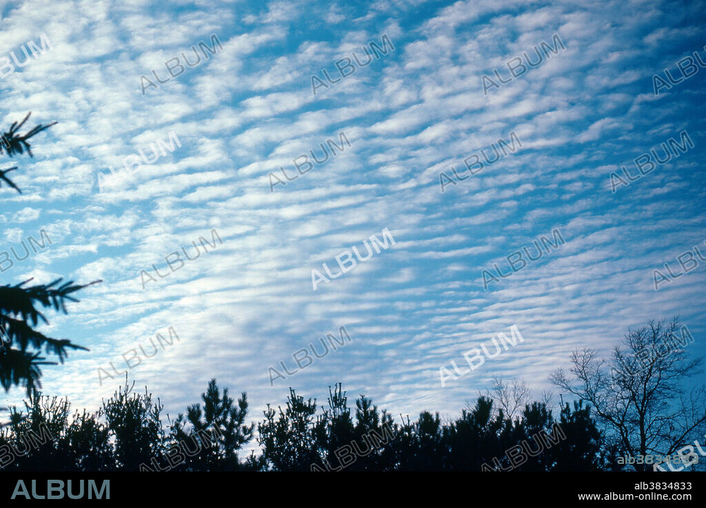 Cirrocumulus clouds.