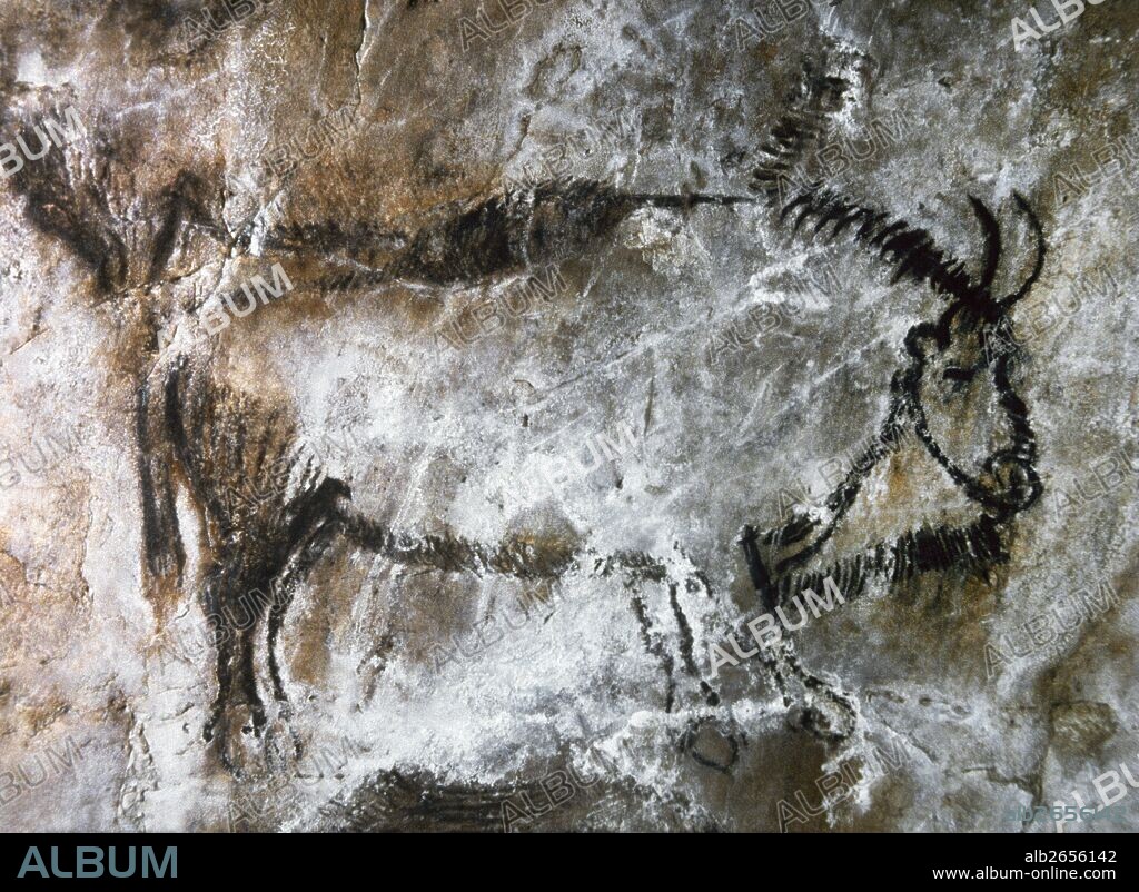 Cave of Niaux. Black Hall panel. Painting of the Bison, executed in a Black-outlined style. Late Upper Paleolithic. Magdalenian Culture, c. 13.000 BCE. Ariege, southwestern France. Europe.