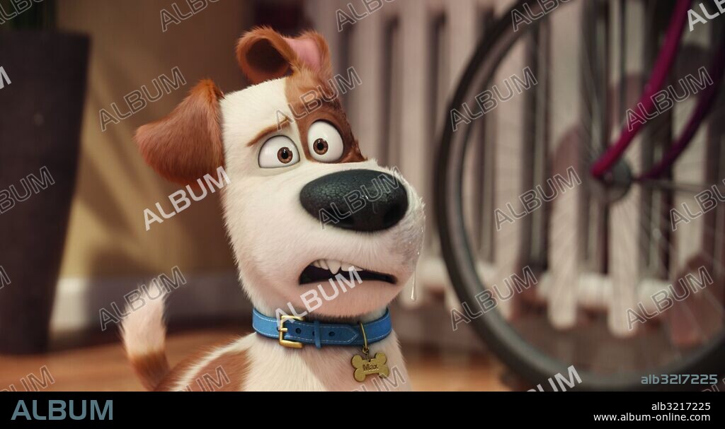 MASCOTAS, 2016 (THE SECRET LIFE OF PETS), dirigida por CHRIS RENAUD y YARROW CHENEY. Copyright ILLUMINATION ENTERTAINMENT/UNIVERSAL PICTURES.