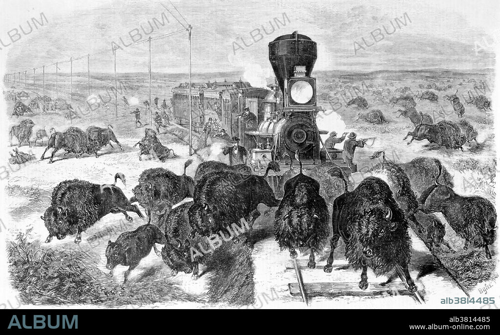 Shows hunters shooting at a herd of bison from a train and along the tracks. The Kansas Pacific Railway (KP) was a historic railroad company that operated in the western United States in the late 19th century. It was a federally chartered railroad, backed with government land grants. It operated many of the first long-distance lines in the state of Kansas in the 1870s, extending the national railway network westward across that state and into Colorado. Its main line furnished a principal transportation route that opened up settlement of the central Great Plains, and its link from Kansas City to Denver provided the last link in the coast-to-coast railway network in 1870. The railroad was consolidated with the Union Pacific in 1880, and its mainline continues to be an integral part of the Union Pacific network today. Drawing appeared in Frank Leslie's Illustrated Newspaper, June 3, 1871.