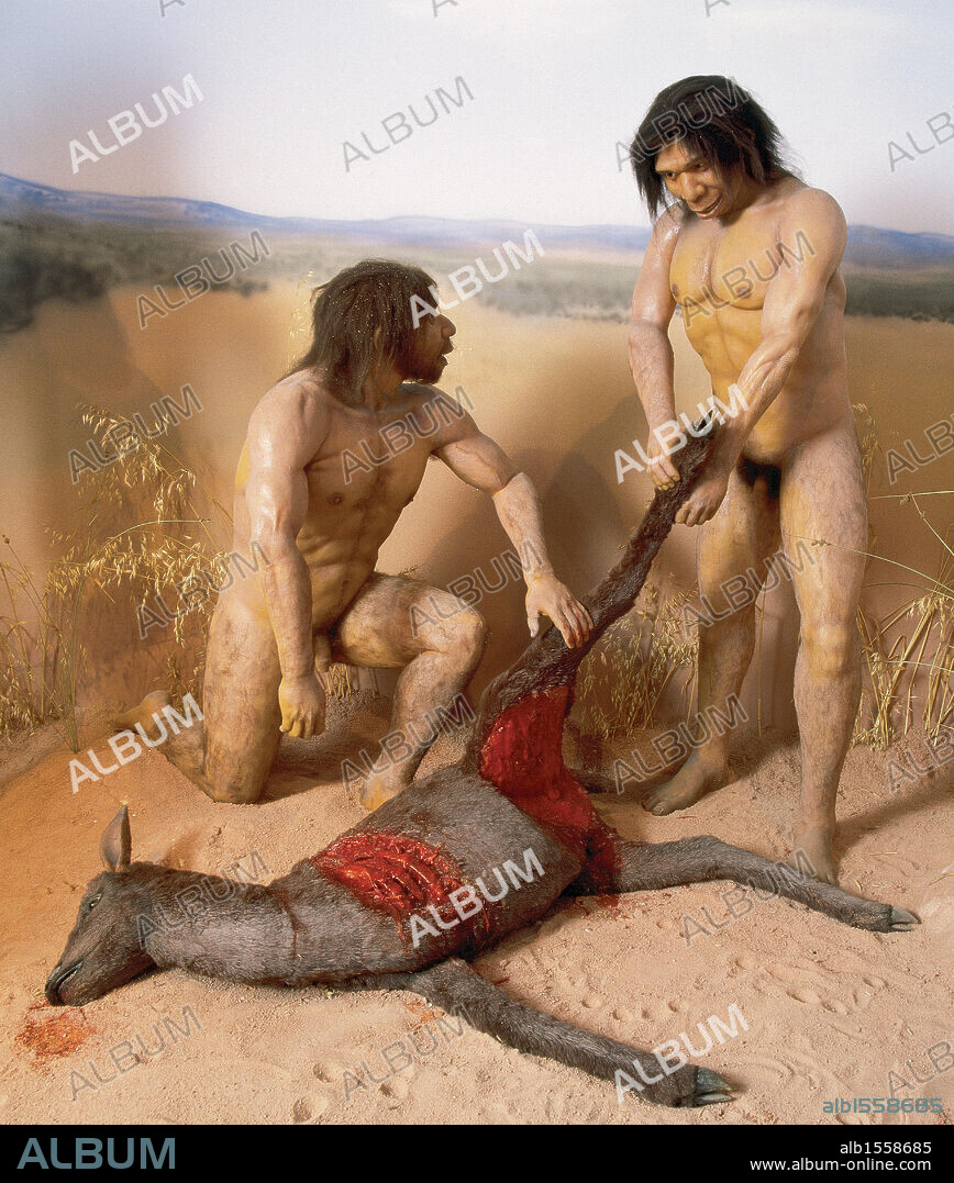 Human evolution. Homo Antecessor. Extinct human species. 1.200 to 800.000 years ago. Recreation of a hunting scene. Exhibition "Atapuerca: Un millón de años" (Atapuerca: one million years). Museum of Burgos, Spain (year 2000).