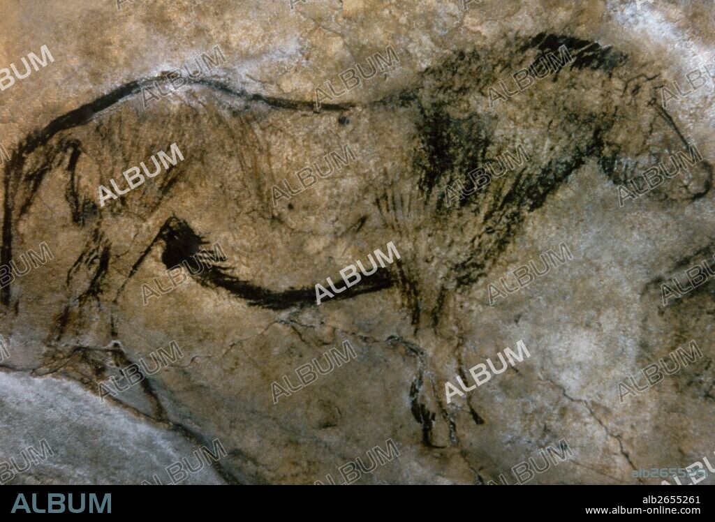 PREHISTORIA. PALEOLITICO. FRANCIA. CUEVA DE NIAUX. Representación de un CABALLO. SALON NEGRO. Pintura fechada en el PERIODO MAGDALENIENSE. PALEOLITICO SUPERIOR (35.000-10.000 a.C.). Departamento de Ariege.