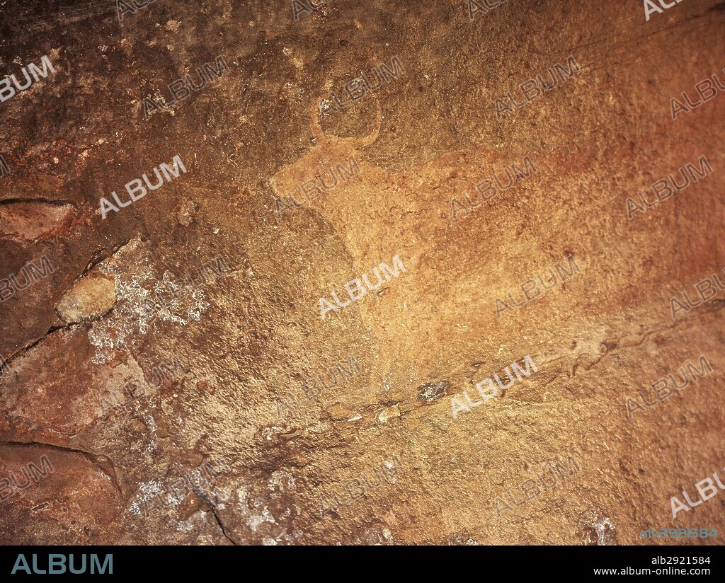 PREHISTORIA. ESPAÑA. Pintura rupestre con representación zoomorfa en la CUEVA DE LA COCINILLA DEL OBISPO. Neolítico Antiguo (4000-5000 AC). Es una de las muestras del ARTE RUPESTRE LEVANTINO. PRADO DEL NAVAZO. Sierra de Albarracín. Provincia de Teruel. Aragón. España.