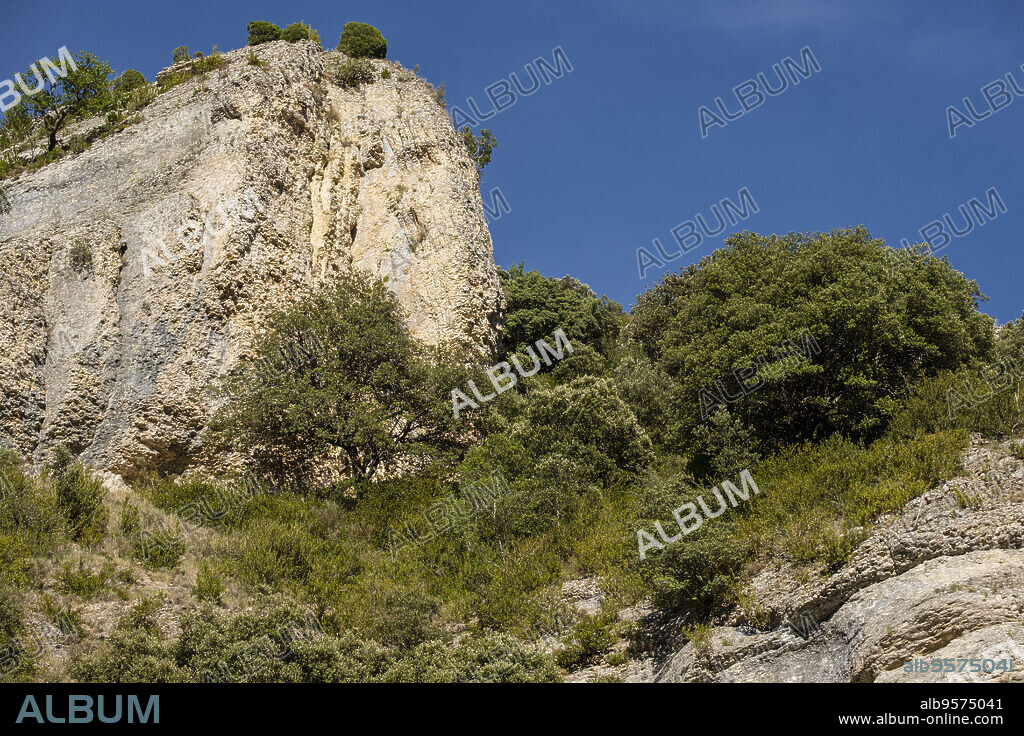 cañon del rio Iranzu, Navarra, Spain, Europe.