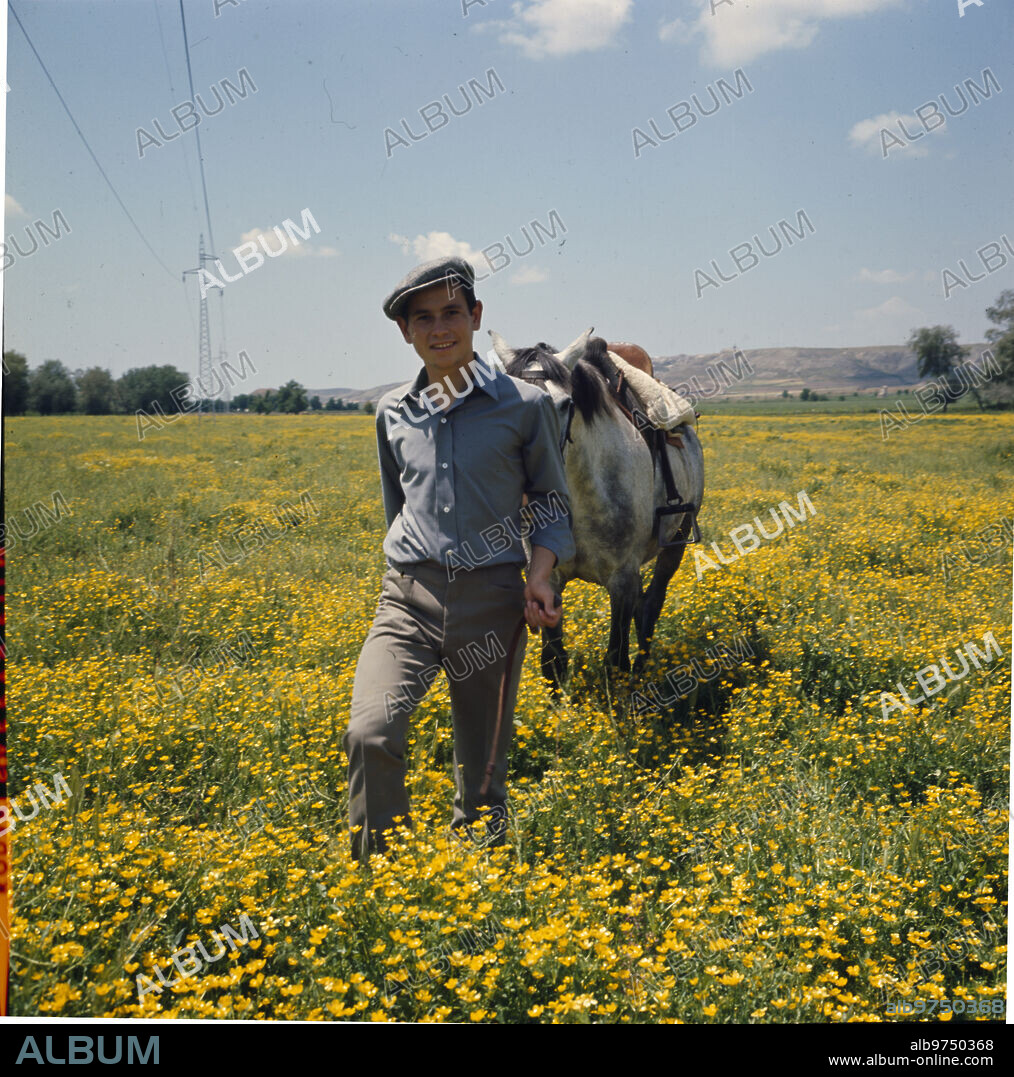Alameda de la Sagra (Toledo), September 1966. Sebastián Palomo «Linares».