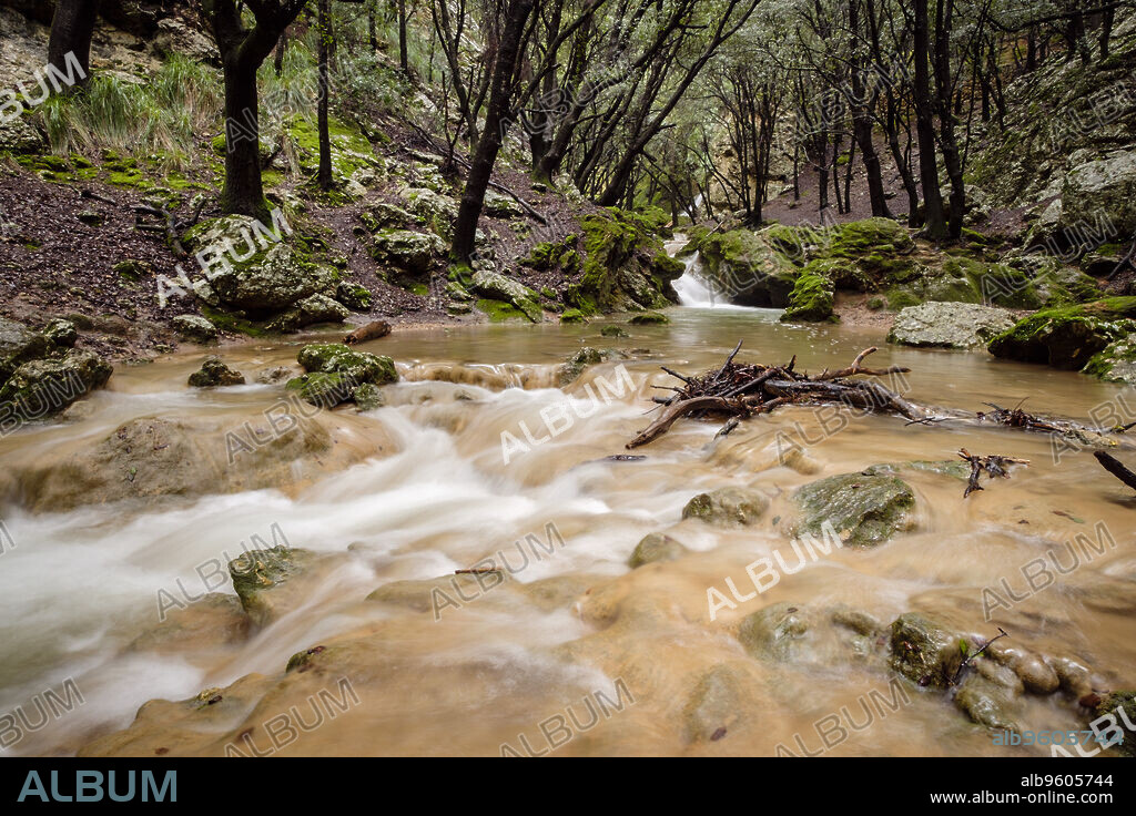 torrent des Freu, valle de Coanegra, Orient,Mallorca, balearic islands, Spain.