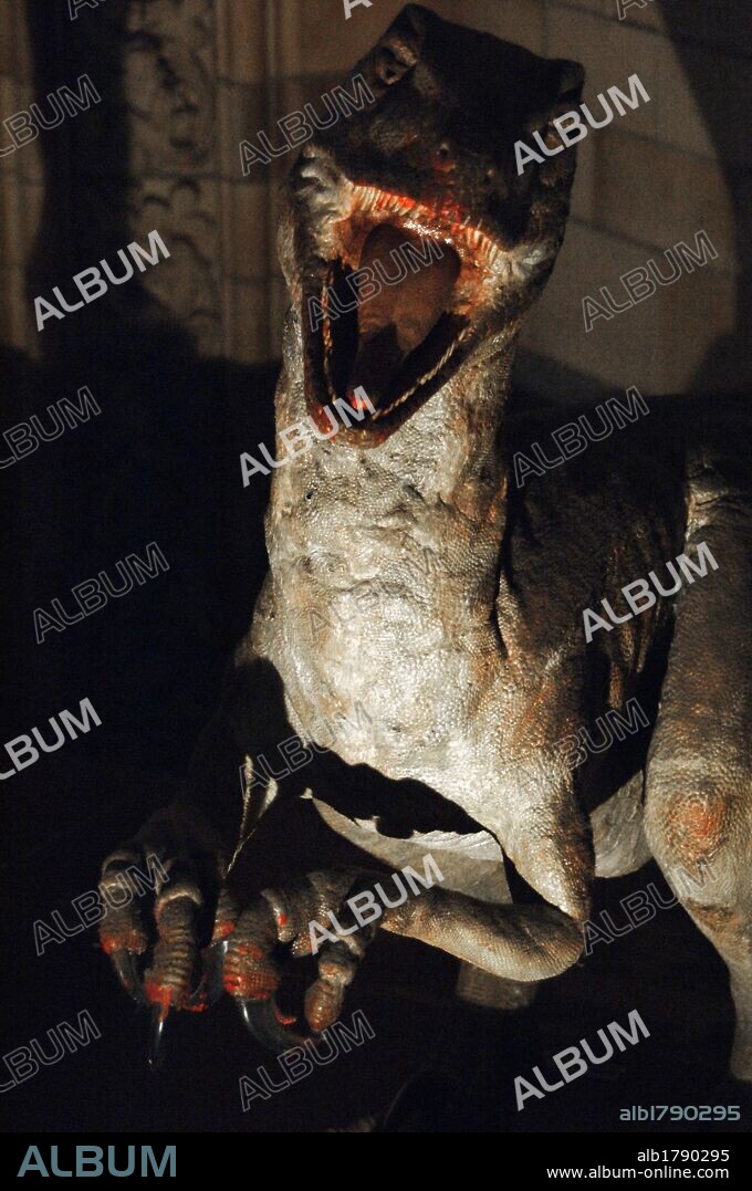 Reconstrucción de un DEINONICO (Deinonychus antirrhopus). Vivió en el Cretácico Inferior. 119-97 millones de años. Museo de Historia Natural. Londres. Inglaterra. Reino Unido.