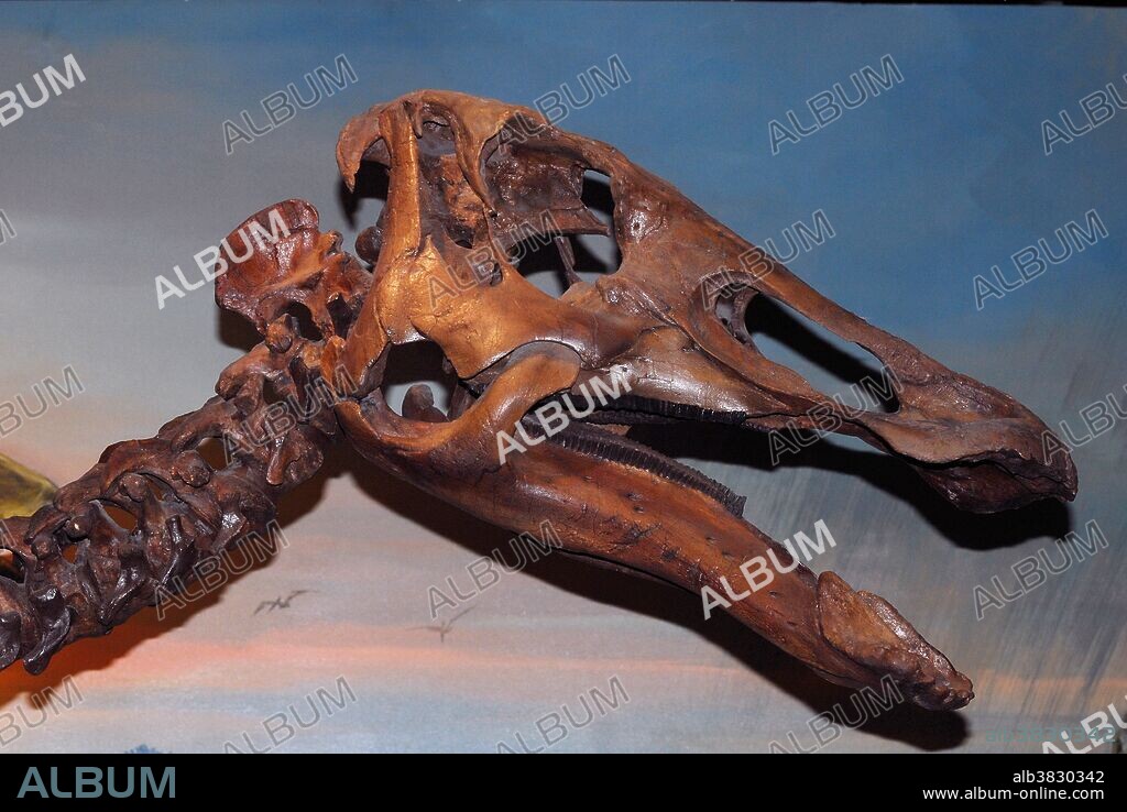 Edmontosaurus