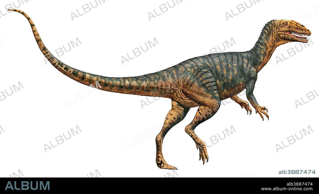 Gojirasaurus dinosaur, white background.