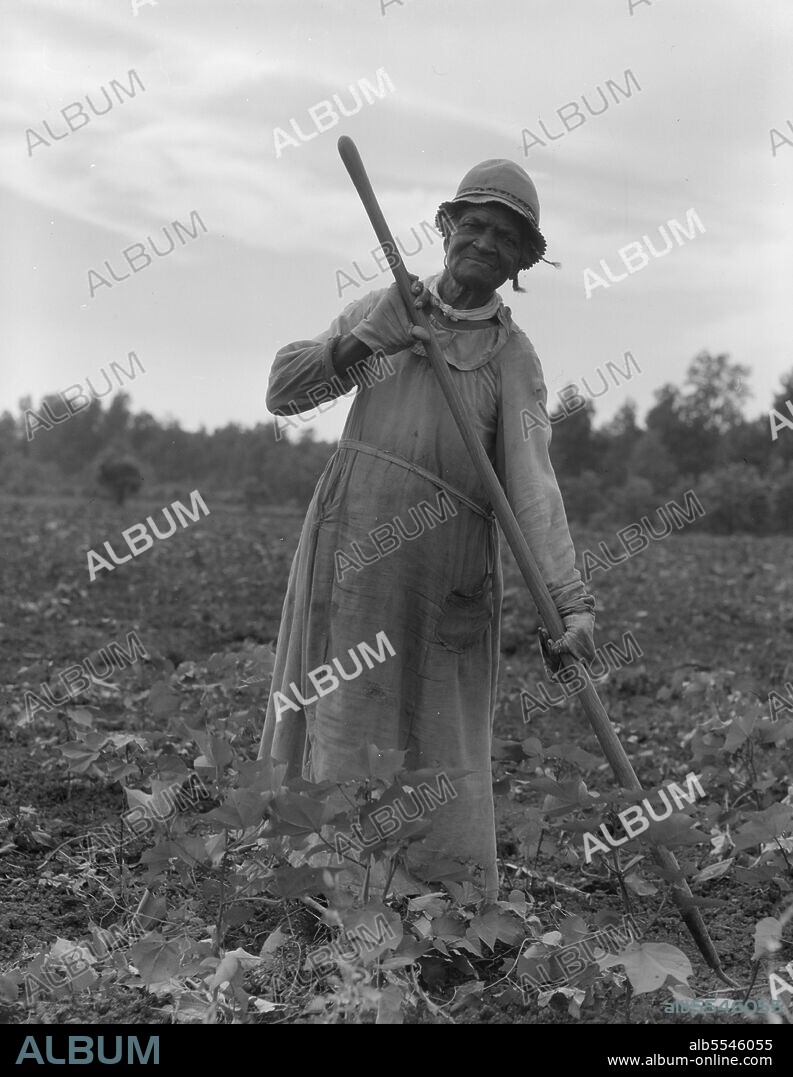 DOROTHEA LANGE. Mississippi Negress hoeing cotton. She was born a slave "two years before the surrender". [General Robert E. Lee surrendered his Confederate troops to Ulysses S. Grant, leader of the Union Army, at Appomattox Court House, Virginia, on 9 April 1865, marking the beginning of the end of the American Civil War. The Thirteenth Amendment, abolishing slavery except as punishment for a crime, had been passed by the Senate in April 1864, and by the House of Representatives in January 1865].