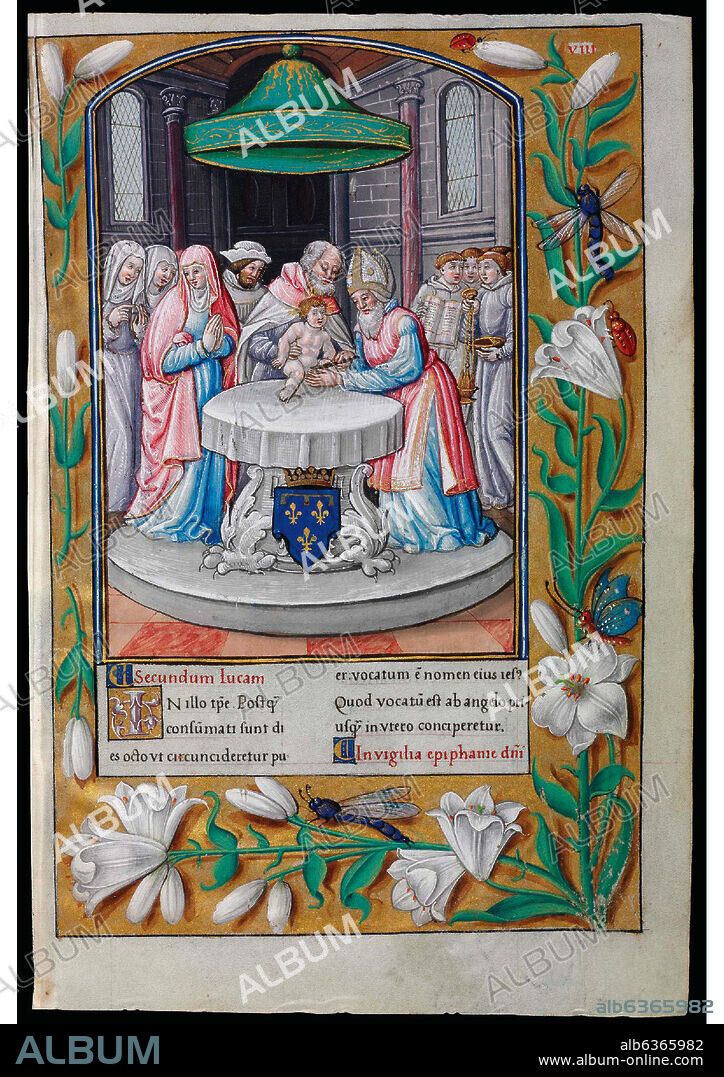 EVANGELIARIO DE PARIS PARA USO DE CARLOS DUQUE DE ANGULEMA - CIRCUNCISION - FECHADO ENTRE 1501 Y 1600 - PERGAMINO.