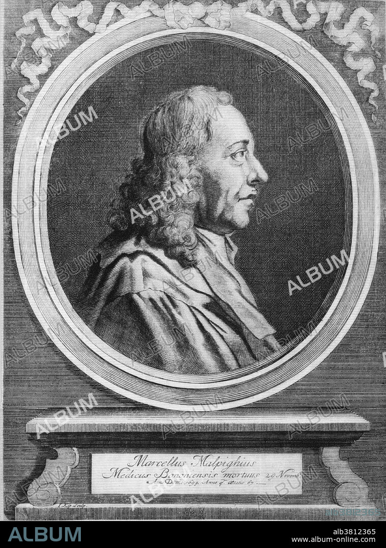 Marcello Malpighi (1628-1694), Italian biologist and inventor of the microscope. Following the theories of Galileo, Malpighi was the first to build a microscope, slightly ahead of Leeuwenhoek. He was a physician by training, graduating at Bologna in 1653. Malpighi's observations through his microscope were to revolutionize anatomy. He showed a mechanism for the transfer of air into the blood in the lungs, and observed capillary vessels for the first time. This completed the theory of blood circulation advanced by Harvey. After a life of research and lecturing, he spent his last three years as private physician to Pope Innocent XII.