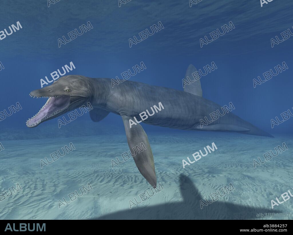 Pliosaurus kevani, Late Jurassic of England, United Kingdom.