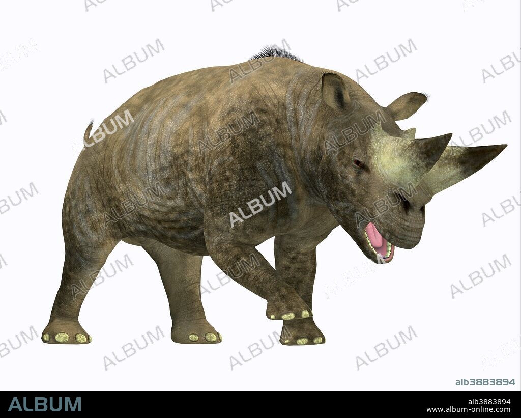 Arsinoitherium mammal, side profile. Arsinoitherium was a herbivorous rhinoceros-like mammal that lived in Africa during the Early Oligocene Period.