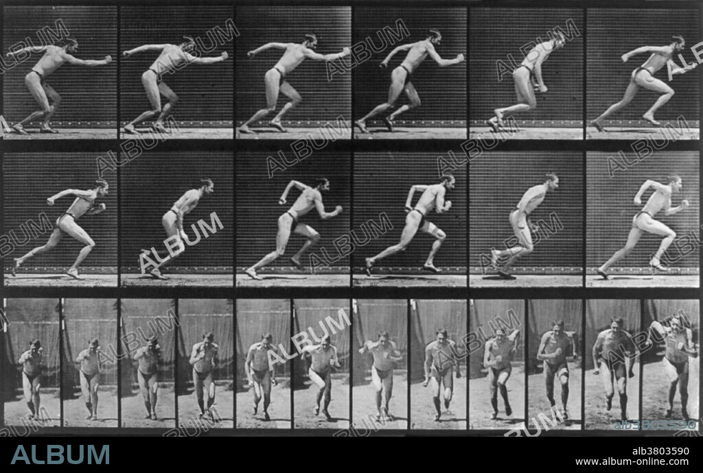 Muybridge Human Locomotion, Man Running, 1887. 24 frames (12 side, 12 front) showing man in loincloth running. Eadweard James Muybridge (April 9, 1830 - May 8, 1904) was an English photographer important for his pioneering work in photographic studies of motion and in motion-picture projection. He published two popular books of his work, Animals in Motion (1899) and The Human Figure in Motion (1901), both of which remain in print over a century later. He died in 1904 at the age of 74.