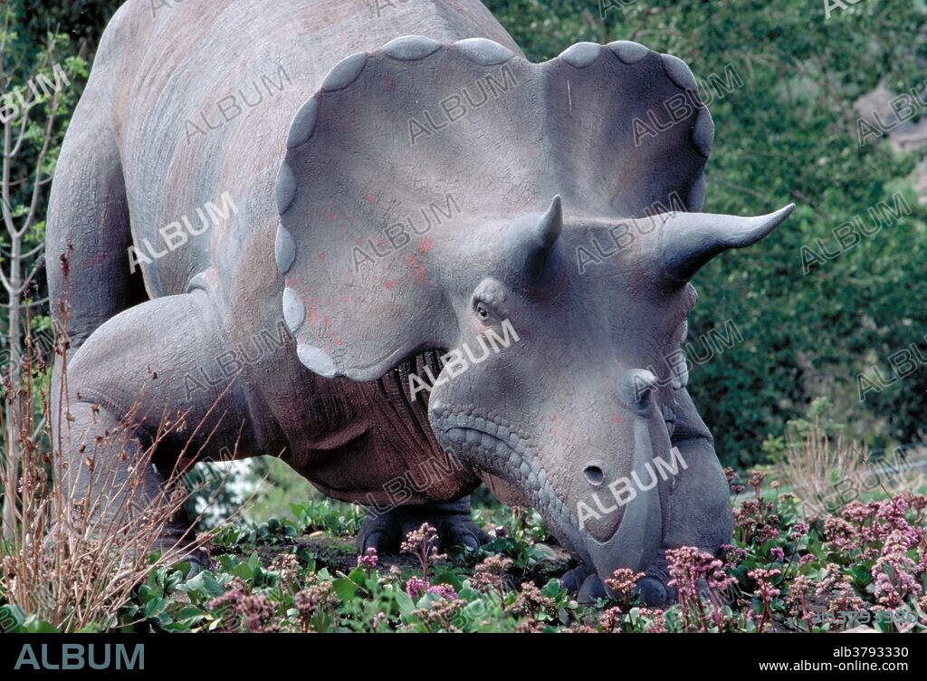 Triceratops dinosaur. Reconstruction from the Mesozoic era. Prehistoric Park, Calgary Zoo.