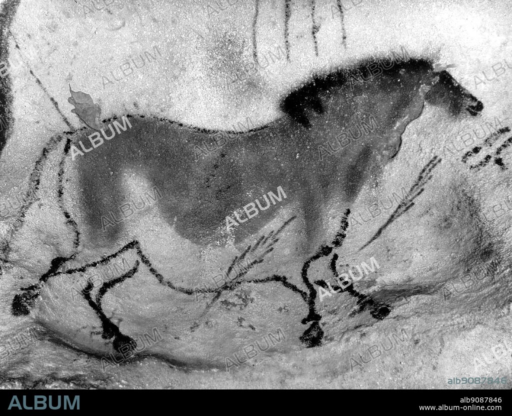 Horse in Prehistoric Art. Rock drawings and engravings,. 300,000 - 10,000 BC, covering the Aurignacian, Solutrean and Magdalenian culture periods. Date created: ca. 15,000 - 13,000 B.C. From Encyclopedia of the Horse page 275.