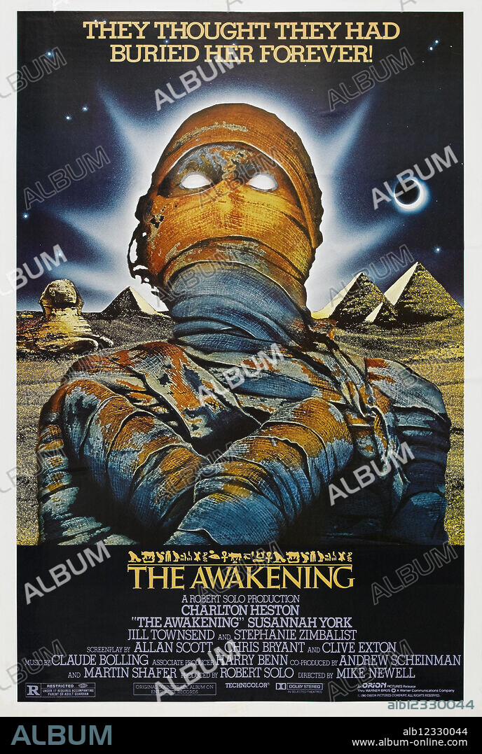 Poster de EL DESPERTAR, 1980 (THE AWAKENING), dirigida por MIKE NEWELL. Copyright ORION/WARNER BROTHERS.