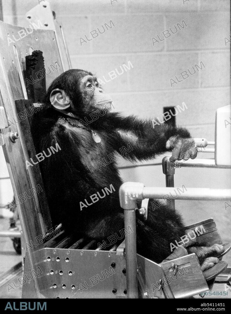 Chimpanzee Ham during preflight activity with one of his handlers prior to the Mercury-Redstone 2 test flight. On January 31, 1961, a Mercury-Redstone launch from Cape Canaveral carried the chimpanzee, Ham, over 400 miles down range in an arching trajectory that reached a peak of 158 miles above the Earth. The mission was successful and Ham performed his lever-pulling task well in response to the flashing light. NASA used chimpanzees and other primates to test the Mercury capsule before launching the first American astronaut Alan Shepard in May 1961.
