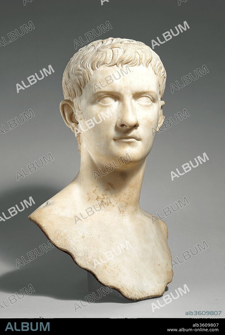 Marble portrait bust of the emperor Gaius, known as Caligula. Culture: Roman. Dimensions: H. 20 in. (50.8 cm)
length  7 1/16 in. (18 cm). Date: A.D. 37-41.
The portrait style created for Augustus was adopted by his family and immediate successors in order to stress the unity and continuity of the Julio-Claudian dynasty. This fine bust of Caligula (r. A.D. 37- 41) has regular features and carefully designed locks of hair similar to those in portraits of Augustus. Here, however, the artist has also conveyed something of Caligula's vanity and cruelty in the proud turn of the head and the thin, pursed lips.