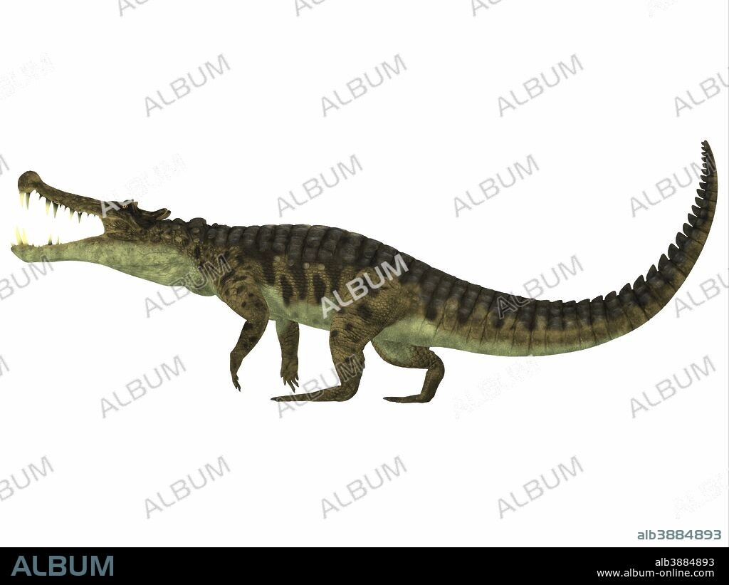 Kaprosuchus is an extinct genus of crocodile from the Upper Cretaceous of Niger, Africa.