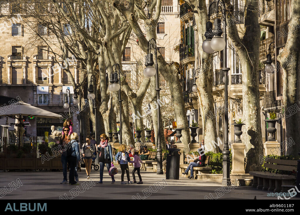 paseo del Borne, Palma, Mallorca, balearic islands, spain, europe.